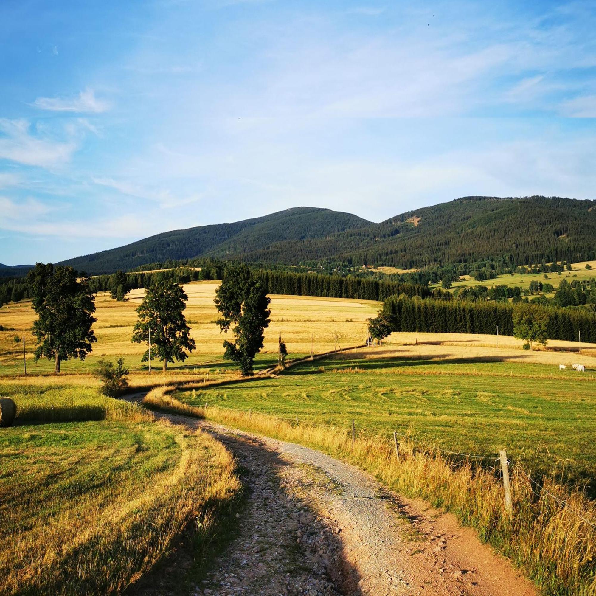 Trzy Morza - Apartamenty Pod Gora "Trojmorski Wierch" Sudety Jodlow  Buitenkant foto